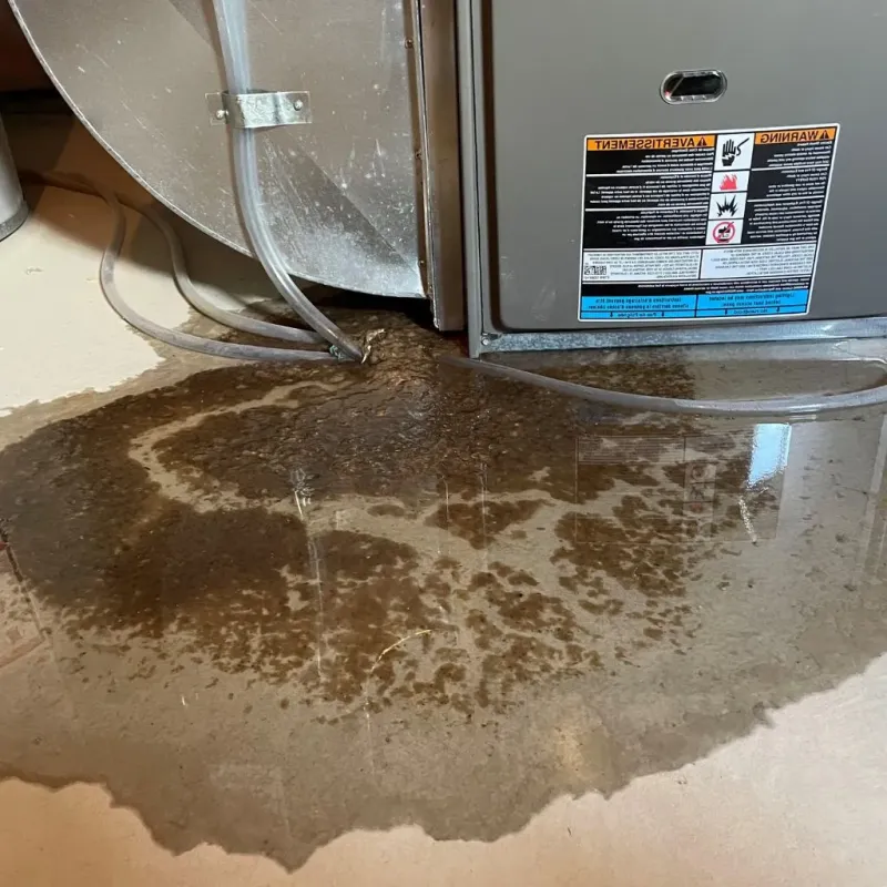 Pipe Burst and Leak Restoration in Los Altos, CA